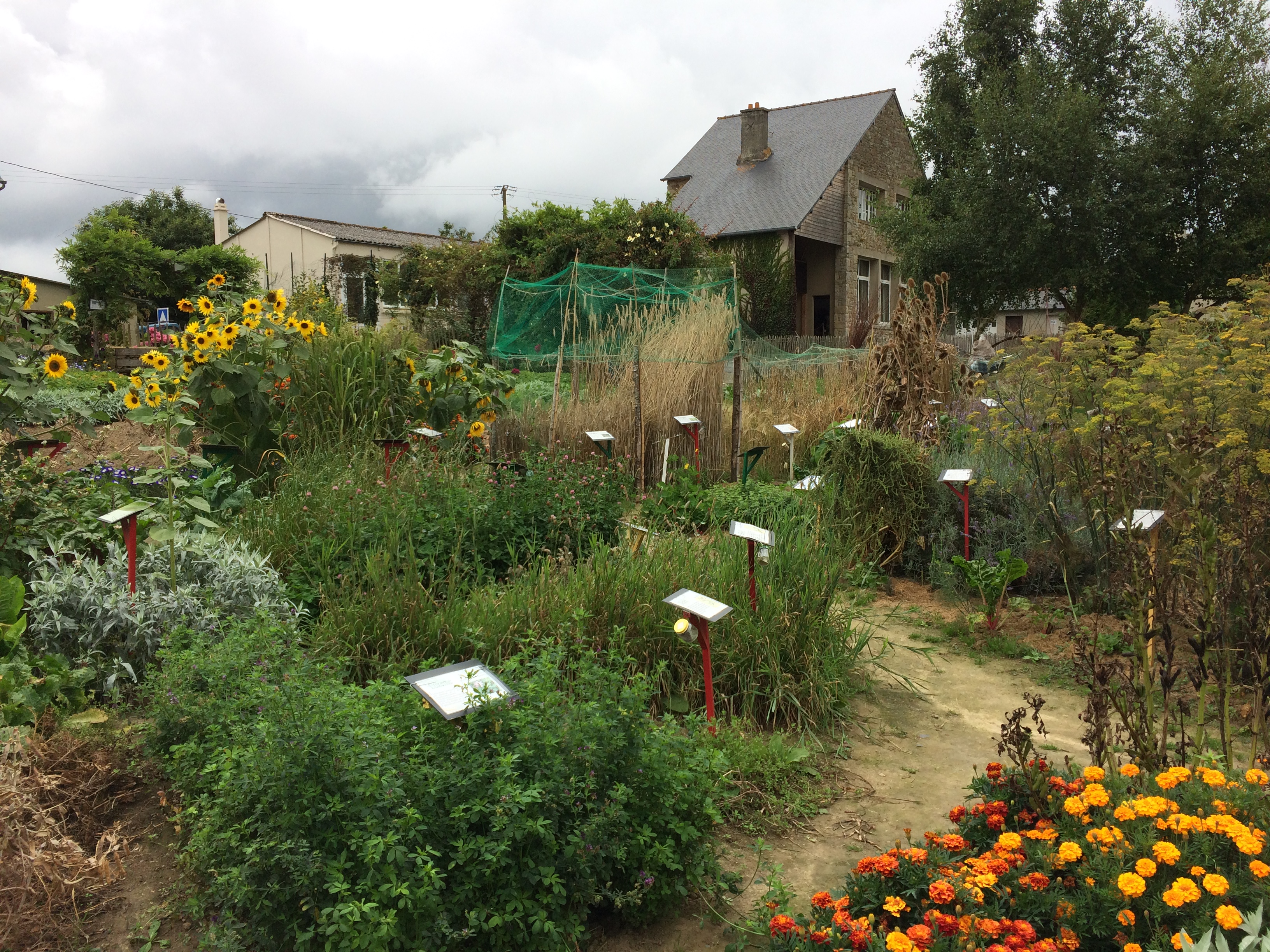 Photo n° 16 de l'avis de Olivier.e fait le 17/08/2017 à 13:02