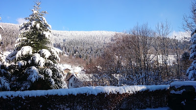 TV Püttlingen - Haus Ventron à Ventron