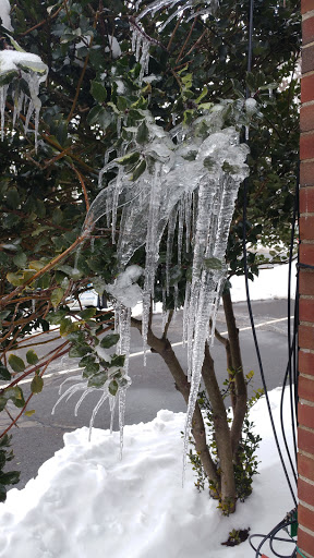 Computer Repair Service «We Care Computers, LLC», reviews and photos, 2437 Albany Ave #101A, West Hartford, CT 06117, USA