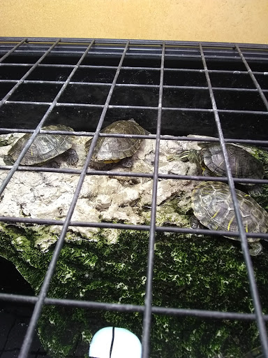 Pet Supply Store «Petco Animal Supplies», reviews and photos, 3454 Palmer Dr #7a, Cameron Park, CA 95682, USA