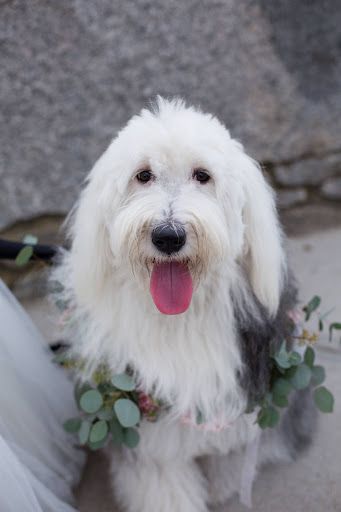 Florist «The Secret Garden», reviews and photos, 12 Southwest Ave, Jamestown, RI 02835, USA