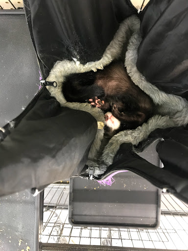 Pet Supply Store «Pet Supplies Plus», reviews and photos, 887 N Lexington-Springmill Rd, Mansfield, OH 44906, USA