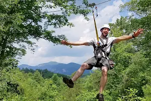 Canopy Ridge Farm image