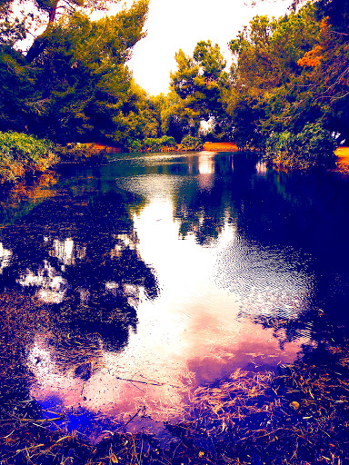 Park «Ernest E. Debs Regional Park», reviews and photos, 4235 Monterey Rd, Los Angeles, CA 90032, USA