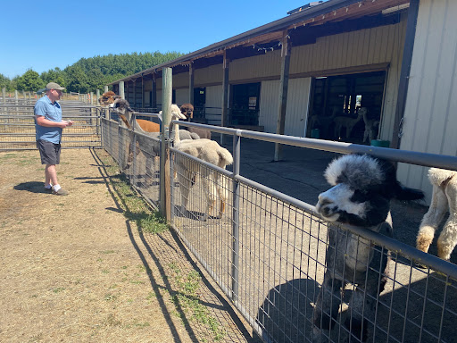 Livestock Breeder «Alpacas at Marquam Hill Ranch», reviews and photos, 35835 OR-213, Molalla, OR 97038, USA