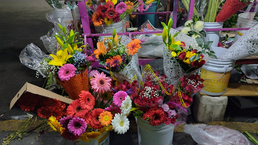 Floreria hernandes local 2 – Chalco de Díaz Covarrubias