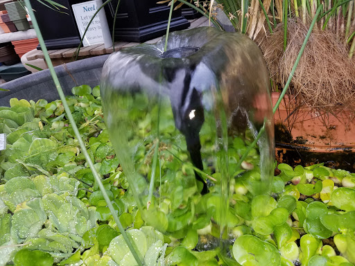 Garden Center «Trail Gardens», reviews and photos, 154 Gordon Nagle Trail, Pottsville, PA 17901, USA