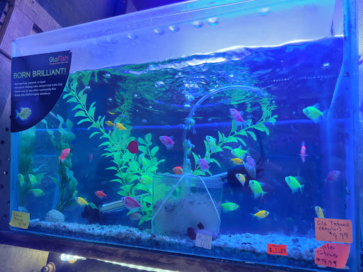 Tropical Fish Store «Emmons Tropical Fish & Ponds», reviews and photos, 1612 Hopmeadow St, Simsbury, CT 06070, USA
