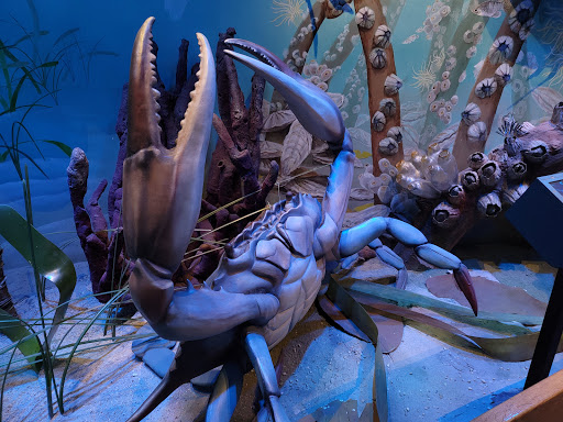 Natural History Museum «Florida Museum of Natural History», reviews and photos, 3215 Hull Rd, Gainesville, FL 32611, USA