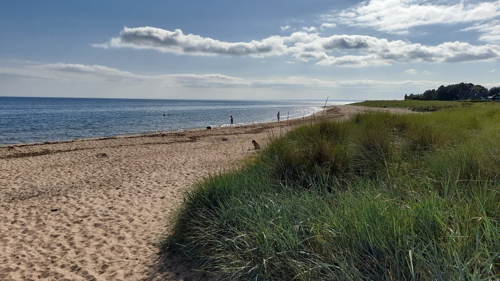 Fotografija East Haven Beach z prostorna obala