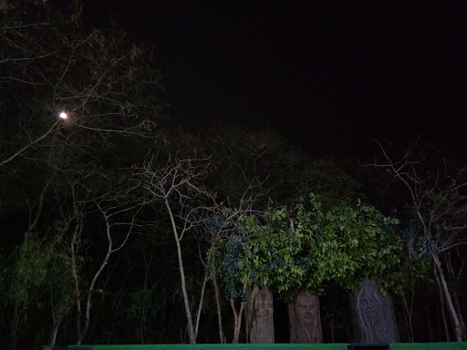 Coffee Shop «Starbucks», reviews and photos, 24529 Twelve Mile Rd, Southfield, MI 48034, USA