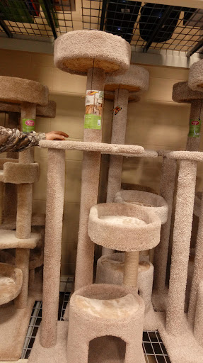 Pet Supply Store «PetSmart», reviews and photos, 2020 SW Westport Dr, Topeka, KS 66604, USA