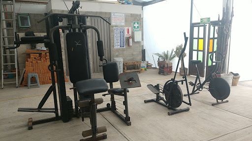 Thermo GYM