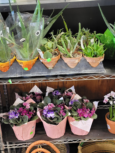 Health Food Store «Mustard Seed Market & Cafe», reviews and photos, 3885 W Market St, Akron, OH 44333, USA