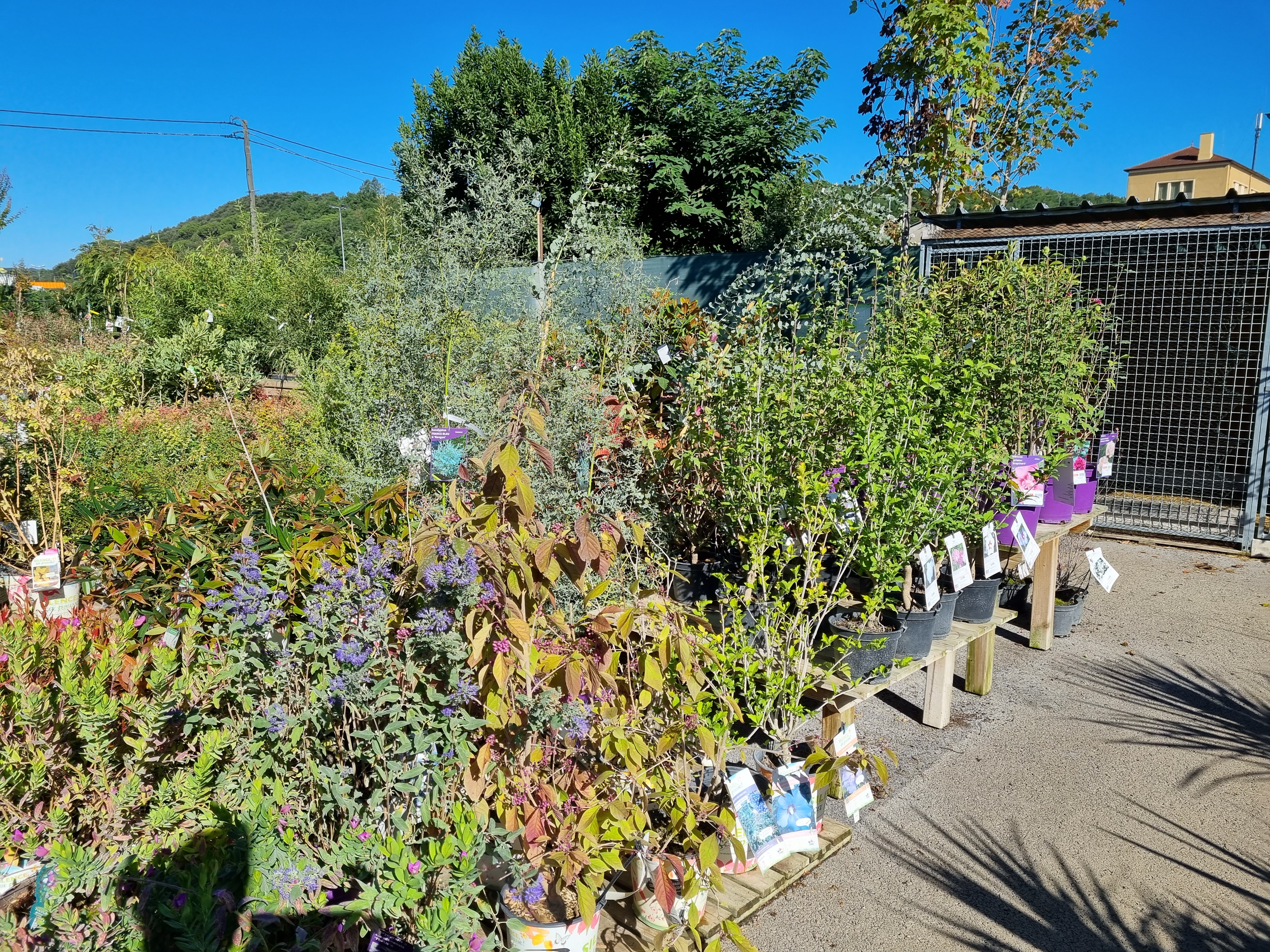 Photo n° 8 de l'avis de Laurent.u fait le 21/09/2022 à 19:14