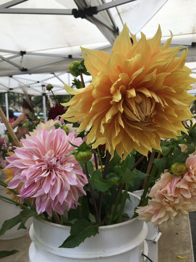 Art Museum «Museum Of Contemporary Art Chicago», reviews and photos, 220 E Chicago Ave, Chicago, IL 60611, USA