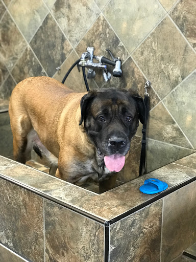 Pet Supply Store «Pet Supermarket, Inc.», reviews and photos, 1052 Peachtree Industrial Blvd, Suwanee, GA 30024, USA