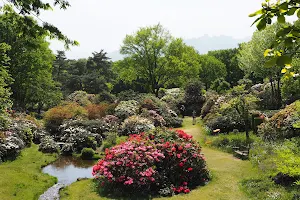 Akagi Nature Park image