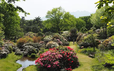 Akagi Nature Park image