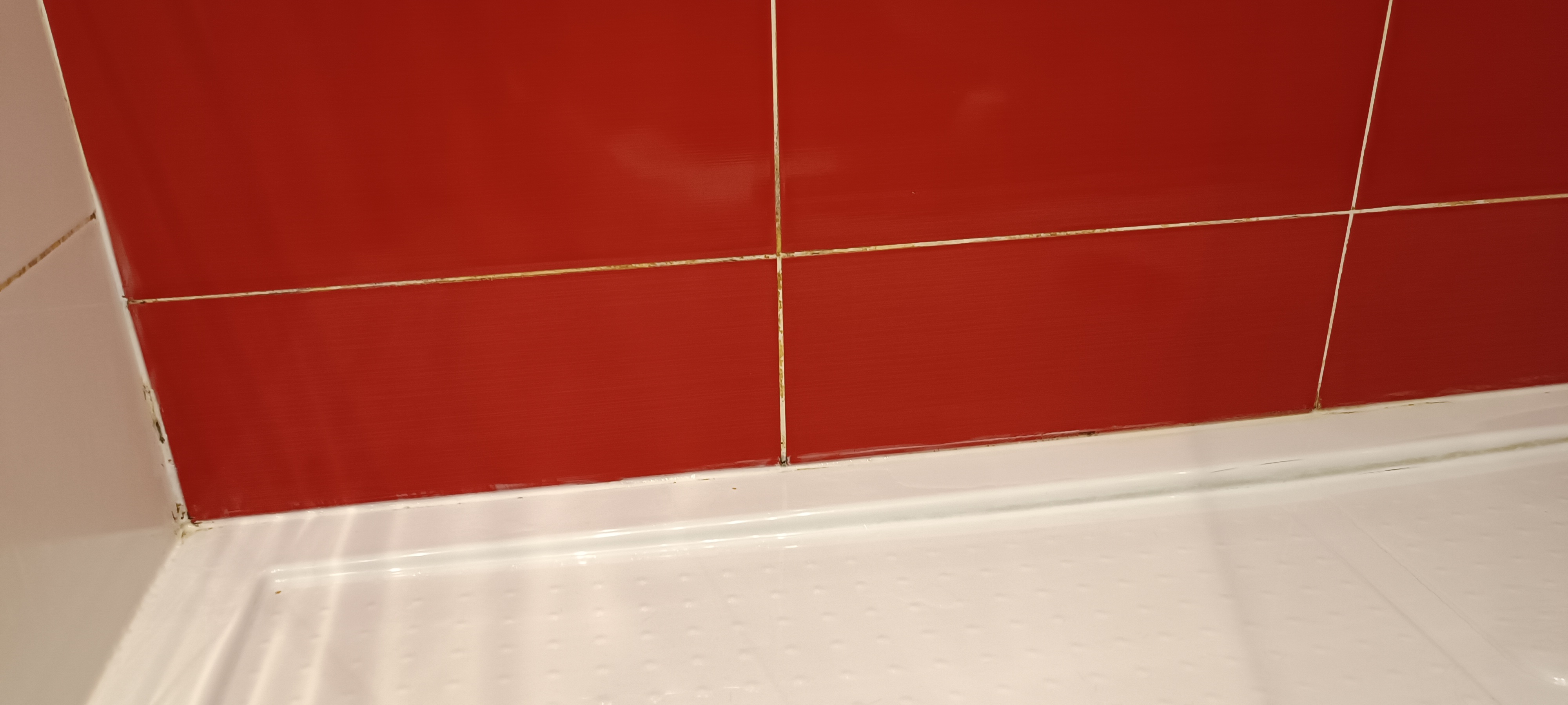Photo n° 1 de l'avis de IC.o fait le 14/12/2023 à 10:15