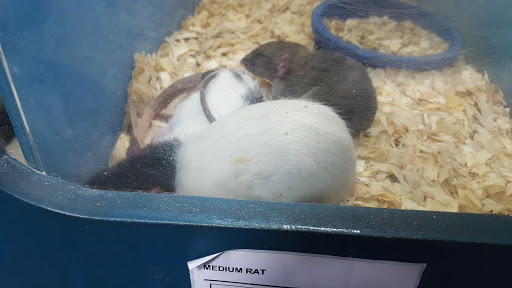 Pet Supply Store «Pet Supreme», reviews and photos, 12823 Foothill Blvd, Sylmar, CA 91342, USA