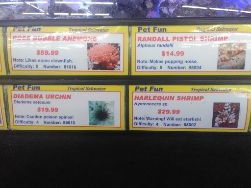 Pet Supply Store «Pet Fun At Harden Ranch Plz», reviews and photos, 1780 N Main St, Salinas, CA 93906, USA