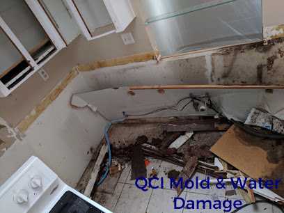 QCI Mold and Water Damage