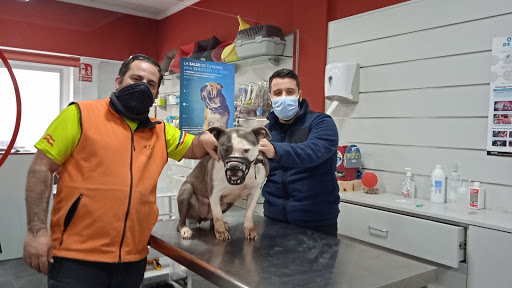 Animus Veterinaria en Daimús