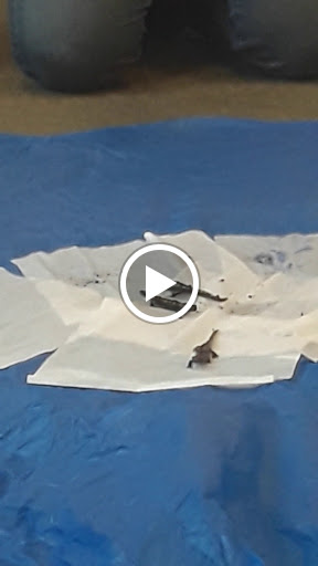 Science Museum «South Shore Natural Science Center», reviews and photos, 48 Jacobs Ln, Norwell, MA 02061, USA