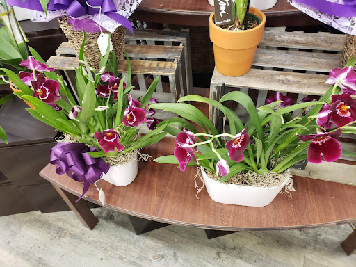 Grocery Store «Vons», reviews and photos, 550 E Baseline Rd, Claremont, CA 91711, USA