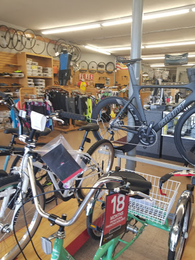 Bicycle Store «Bay Area Cycling -Pasadena», reviews and photos, 2049 S Richey St, Pasadena, TX 77502, USA