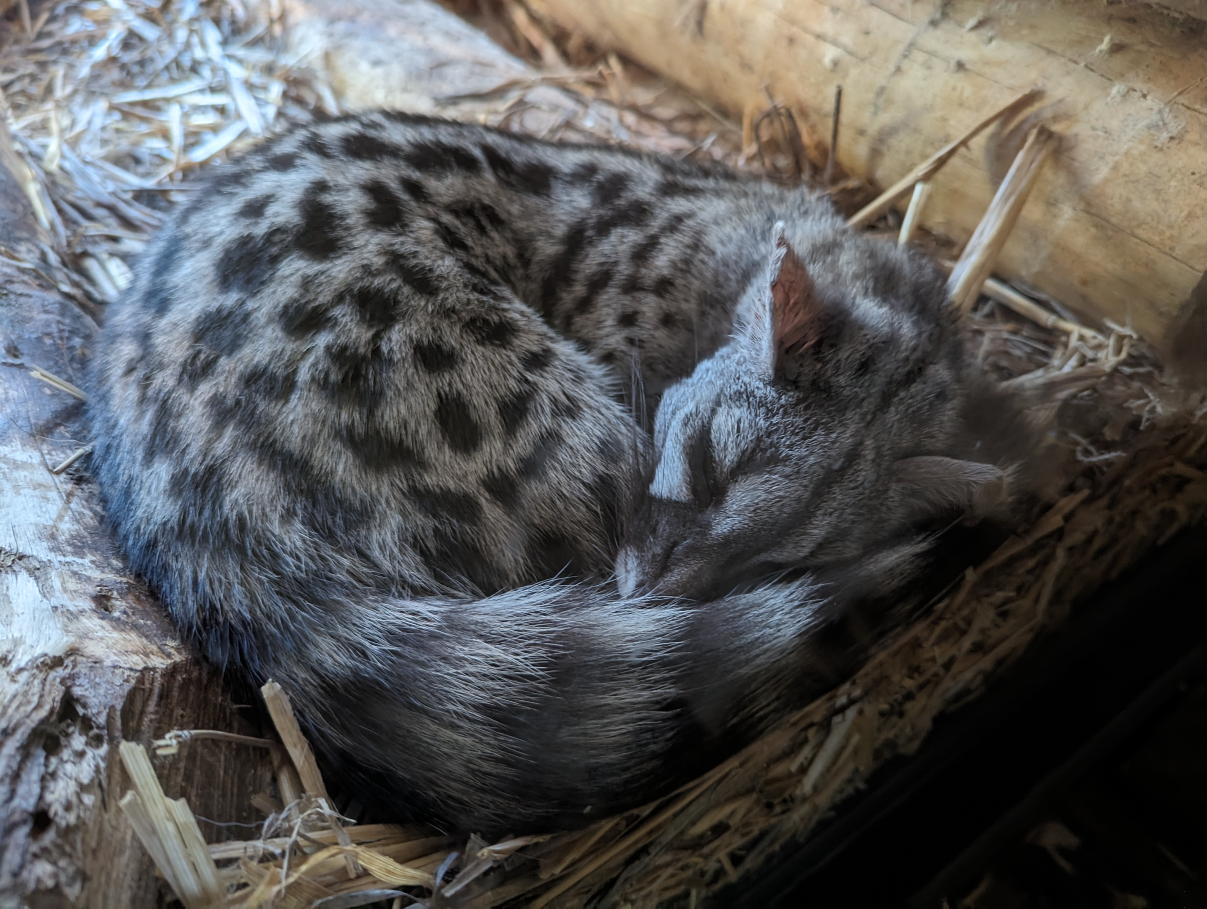 Photo n° 20 de l'avis de Thibaud.l fait le 10/10/2023 à 07:10