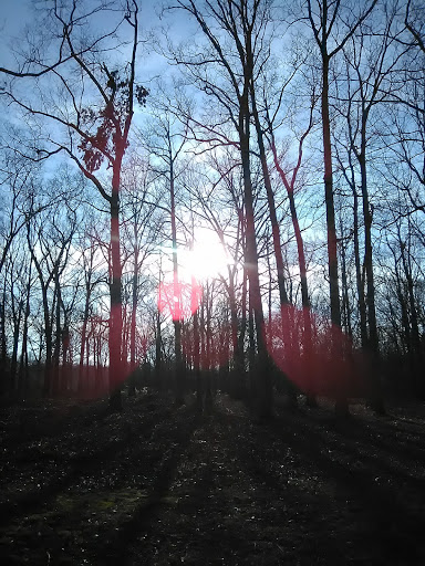 Battle Site «Spotsylvania Court House Battlefield», reviews and photos, 9550 Grant Dr, Spotsylvania, VA 22553, USA