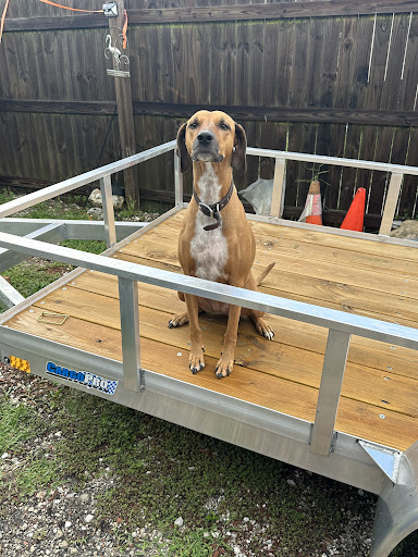 Aquarium maintenance pros llc