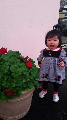 Asian Grocery Store «Jang Tuh Asian Grocery», reviews and photos, 724 New Loudon Rd, Latham, NY 12110, USA