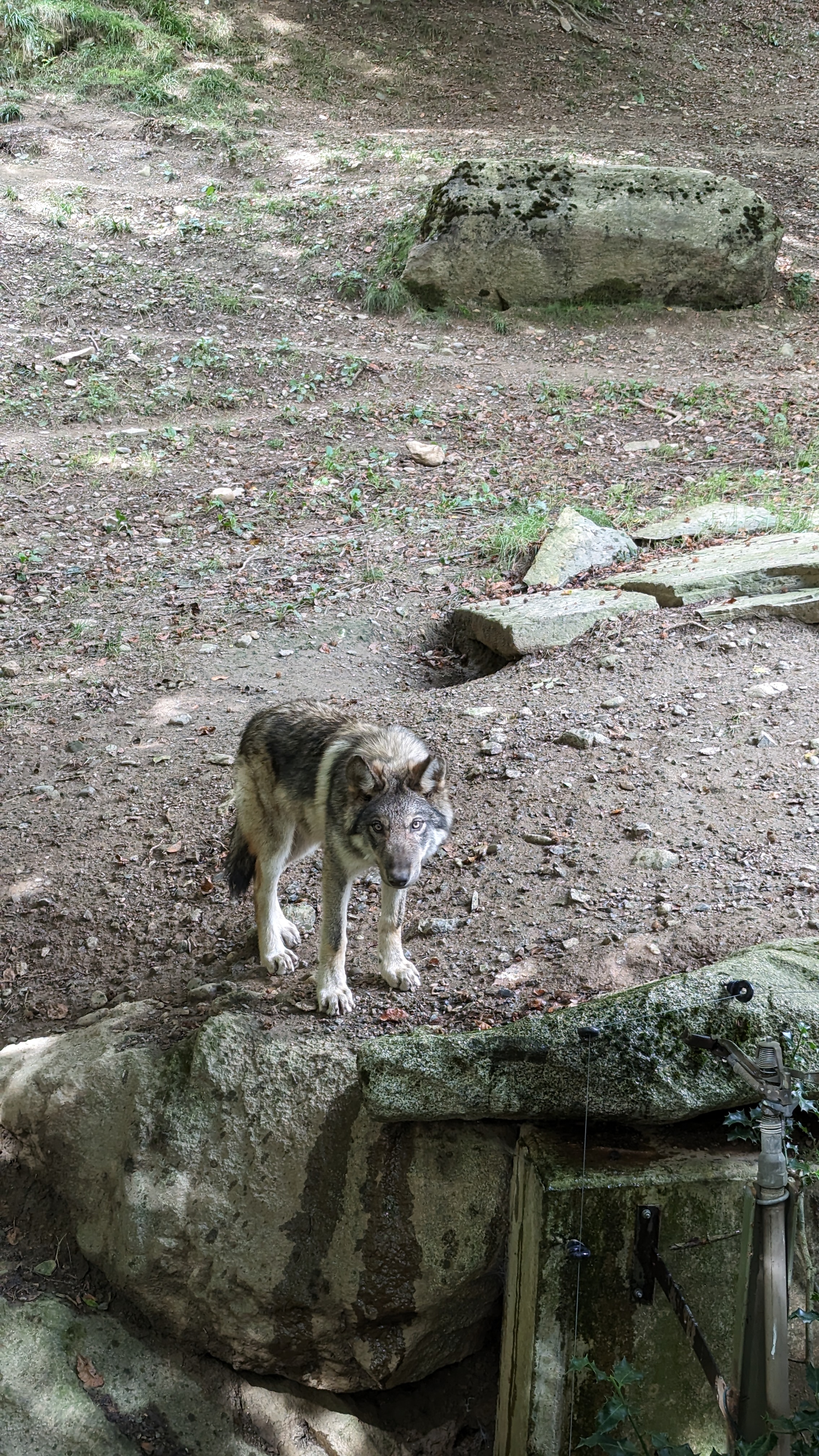 Photo n° 9 de l'avis de OruhaSue. fait le 29/09/2023 à 21:35
