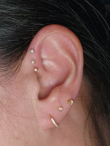 Explore pisces symbol tattoo ideas, creative tattoo ideas in Akron, available at Lucid Body Piercing