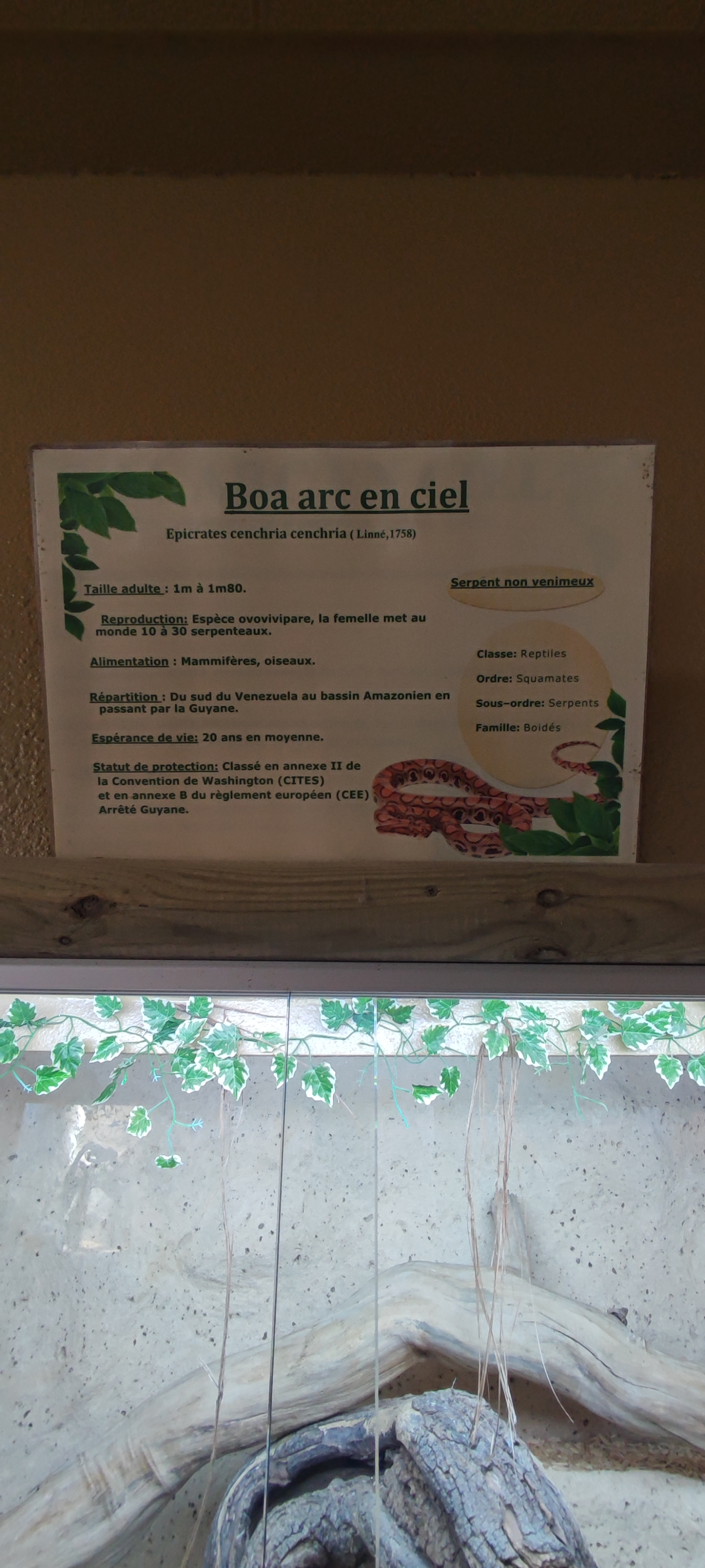 Photo n° 20 de l'avis de Yannick.o fait le 11/02/2023 à 16:29