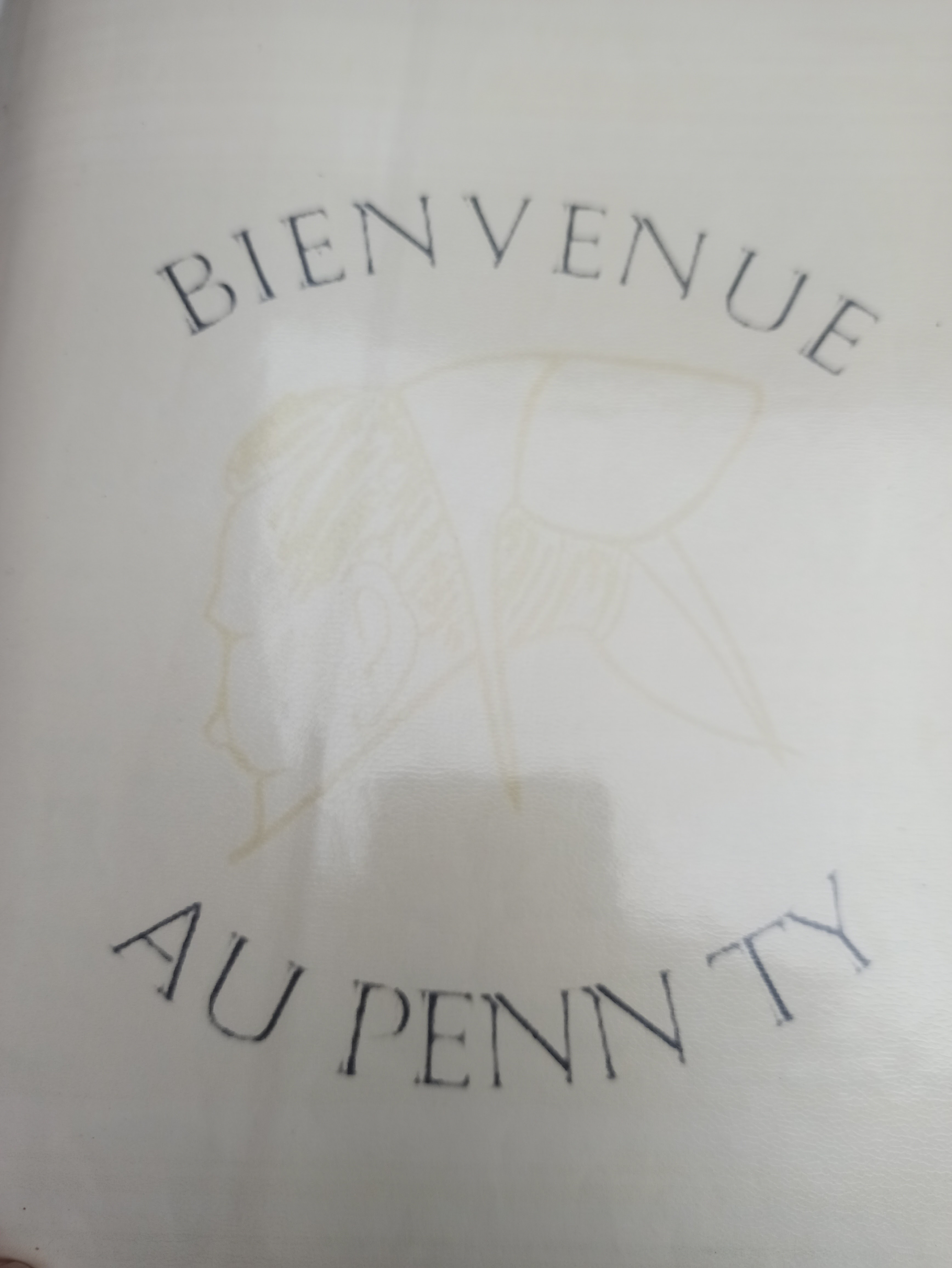 Photo n° 1 de l'avis de Ricou. fait le 14/07/2021 à 18:19