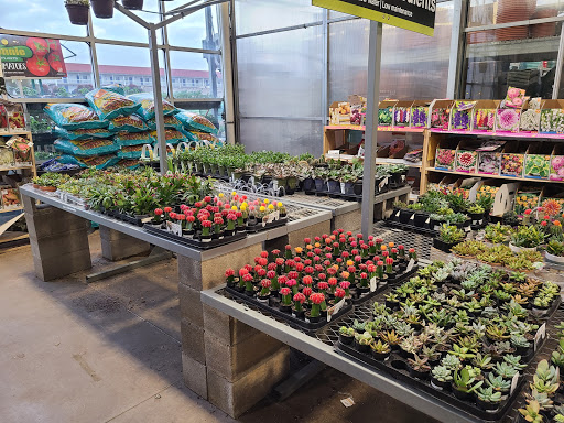 Home Improvement Store «The Home Depot», reviews and photos, 251 S Industrial Blvd, Euless, TX 76040, USA