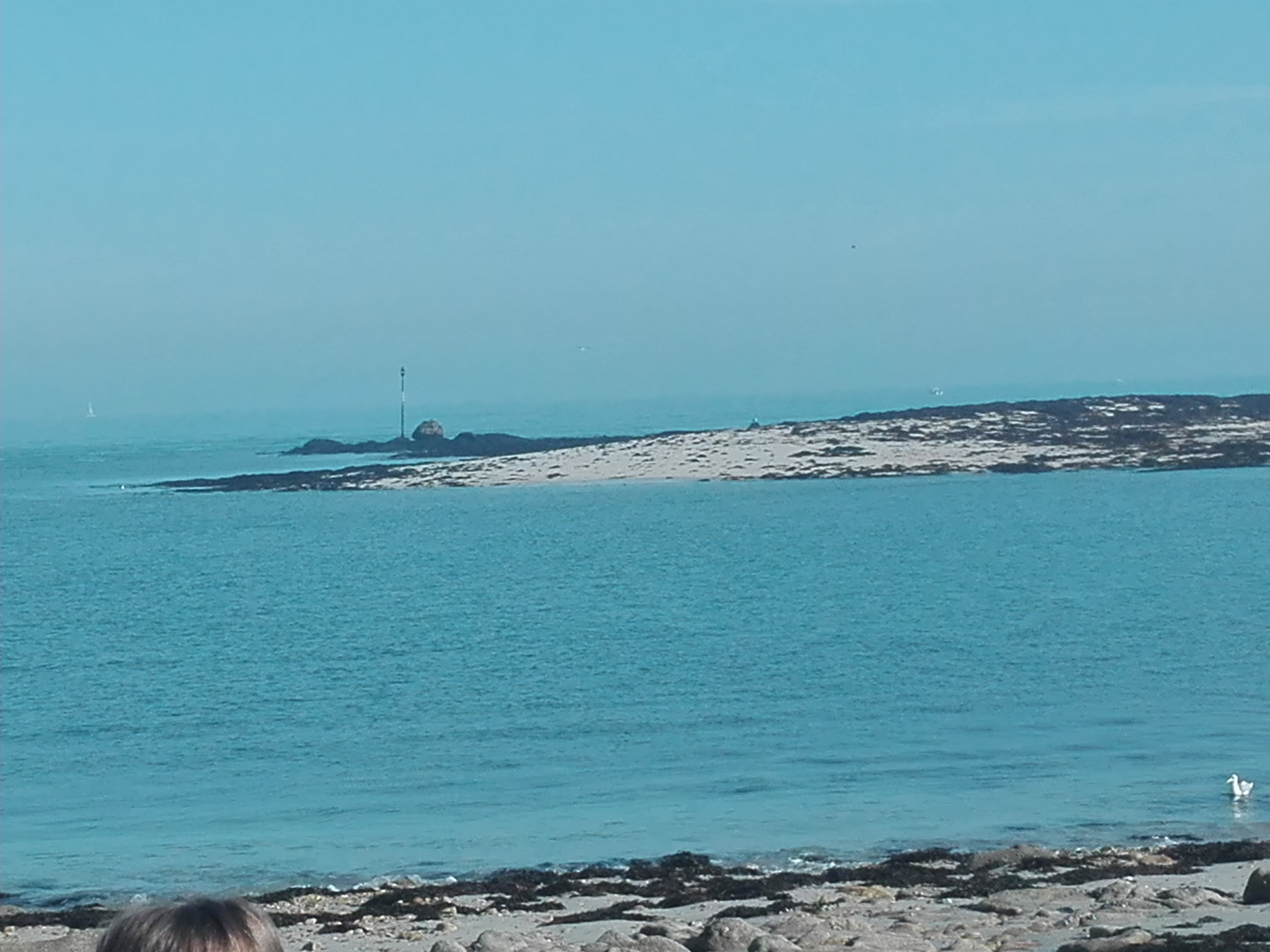 Photo n° 4 de l'avis de Georges.e fait le 26/10/2017 à 13:59