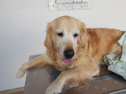 Clínica Almanzora Veterinaria en Albox