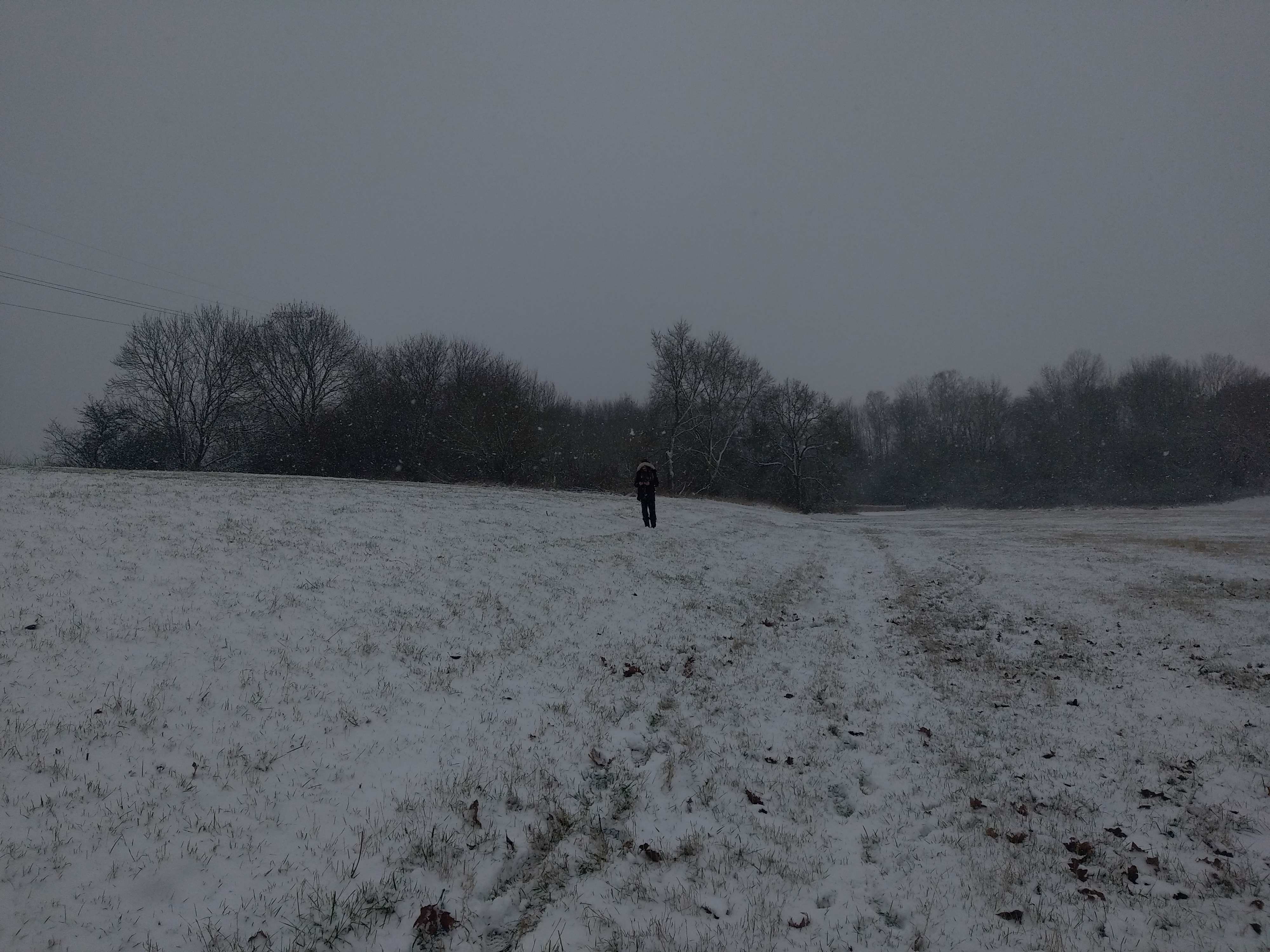 Photo n° 4 de l'avis de Perrine.e fait le 17/01/2024 à 17:53