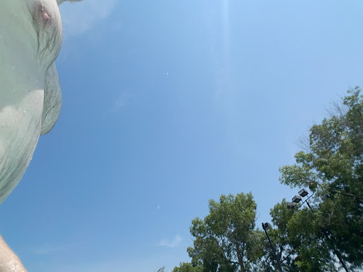 Water Park «Bartlett Aquatic Center», reviews and photos, 620 W Stearns Rd, Bartlett, IL 60103, USA