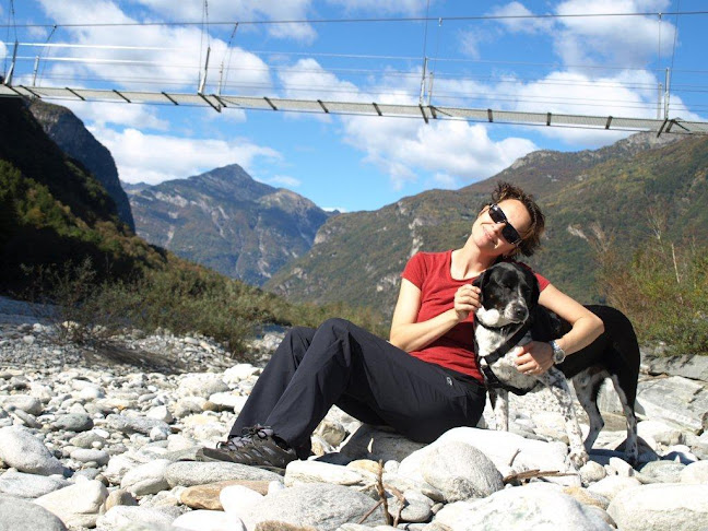 Hundetraining mit Links - Simona Mayer - St. Gallen