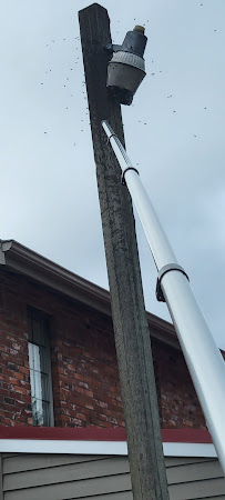 Collie Pest Control - Photo 5 - Car repair in Shelton, WA, Olympia