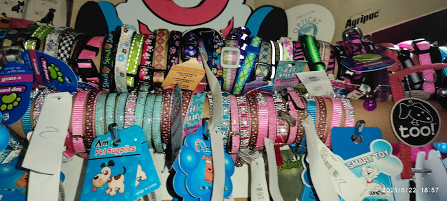 Gustavo Becerra, y, Quinindé