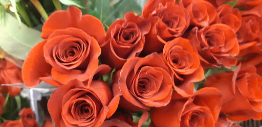 Grocery Store «Albertsons», reviews and photos, 4405 Centennial Blvd, Colorado Springs, CO 80919, USA