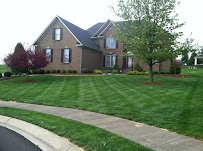Misty Morning Landscaping
