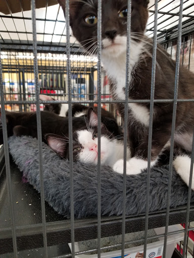 Pet Supply Store «Pet Food Center», reviews and photos, 4036 N First Ave, Evansville, IN 47710, USA